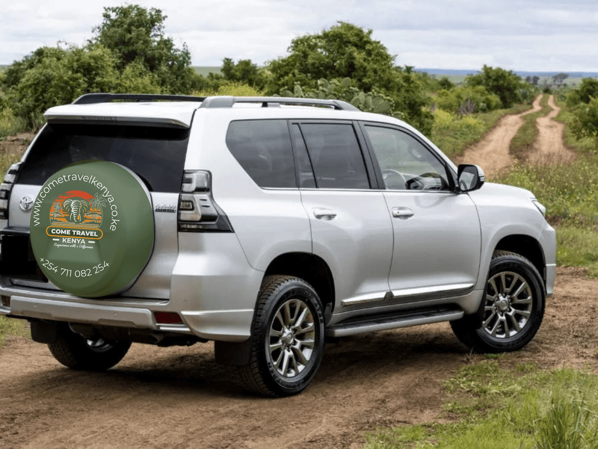 Premium Chauffeur Drive Services in Kenya